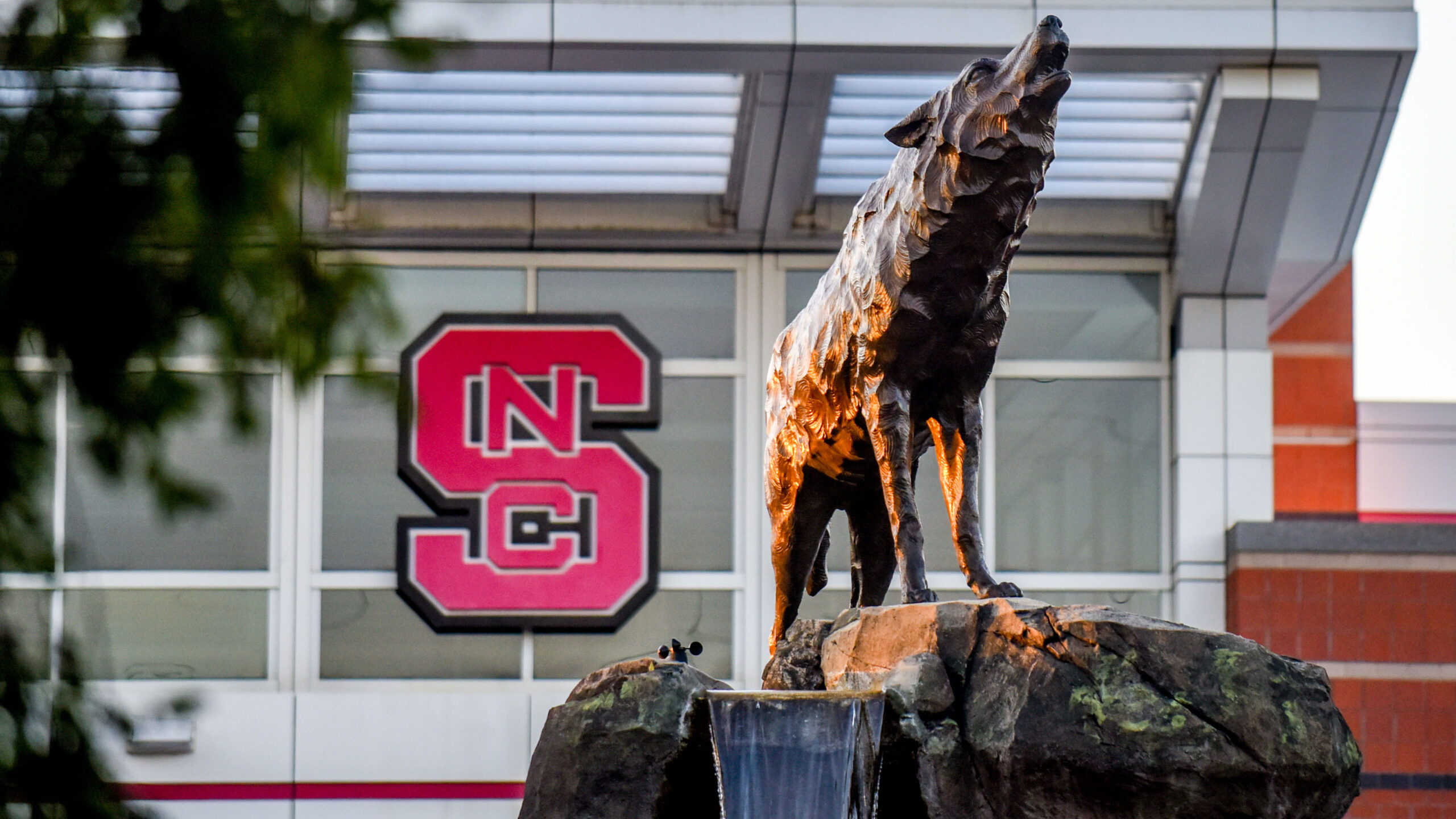 The top wolf of the Wolfpack Turf monument at Carter Finley Stadium